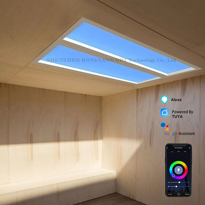 pannello artificiale virtuale del lucernario del LED 110VAC che attenua 60x120 CCT 6500K 8000lm
