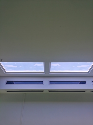 comprare Pannello a soffitto LED Skylight da 2 piedi ad alta potenza 150W AC100-240V Mesh 5.0 e controllo DALI Effetti Alba al Tramonto fabbricazione online