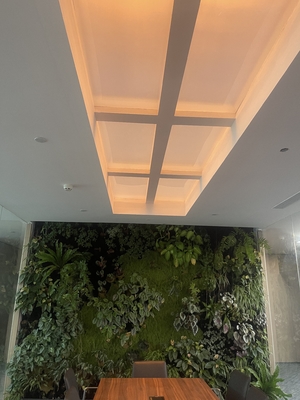 comprare Rectangle Faux Skylight Panels 220mm Highness Customizable Solutions fabbricazione online