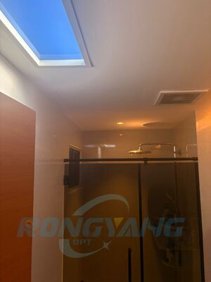 Acquistare Lucernario artificiale da 80 W con fabbrica OEM personalizzata Tuya, DALI e Zigbee Smart Control fabbricazione online