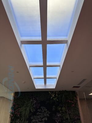 Acquistare Lucernario LED artificiale 1200x600 mm con controllo smart e illuminazione circadiana fabbricazione online