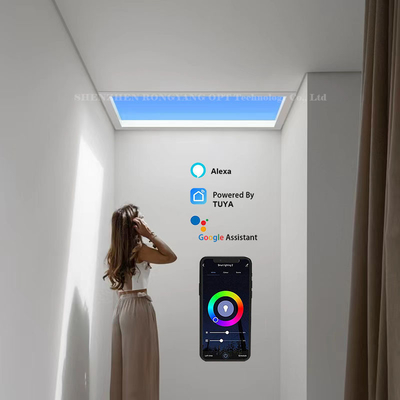 Finestra di luce diurna artificiale wireless 110V multiscena di 30 gradi