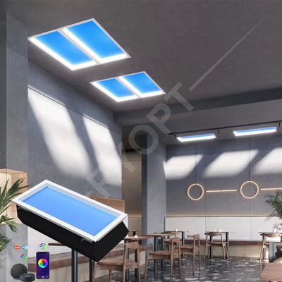 Luce diurna artificiale antiriflesso 2000LM, pannello per soffitto a LED 30x60 Sky e Cloud