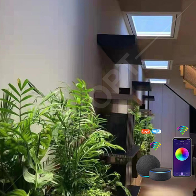 Scena artificiale del lucernario 2200K-7800K di falsificazione di Tuya LED della finestra del lucernario multi per la casa