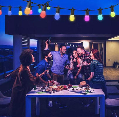 2700K Natale RGB String Light Controllo vocale Stabile Pratico