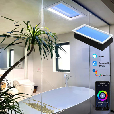 AC 100-240V Lampada di terapia di tensione LED Lampada a soffitto per la casa anziani e giovani