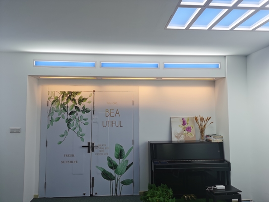 Ampia copertura luminosa Luciera a LED artificiale con direzione luminosa a 30° Illuminazione duratura